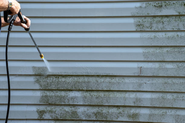 Professional Siding Installation & Repair in Longbranch, WA