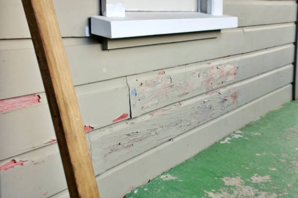 Affordable siding repair and maintenance services in Longbranch, WA